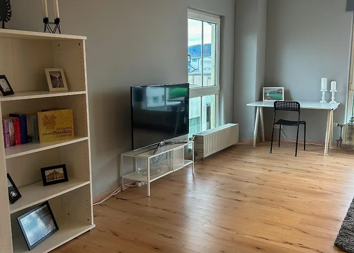 Appartamento Bema - Geraeumig, Hafenlage, Ruhig Und Mit Parkplatz - L19 One Bamberga
